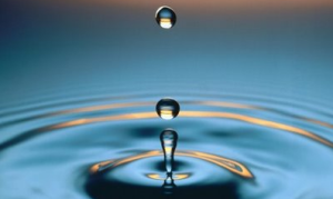 gota
